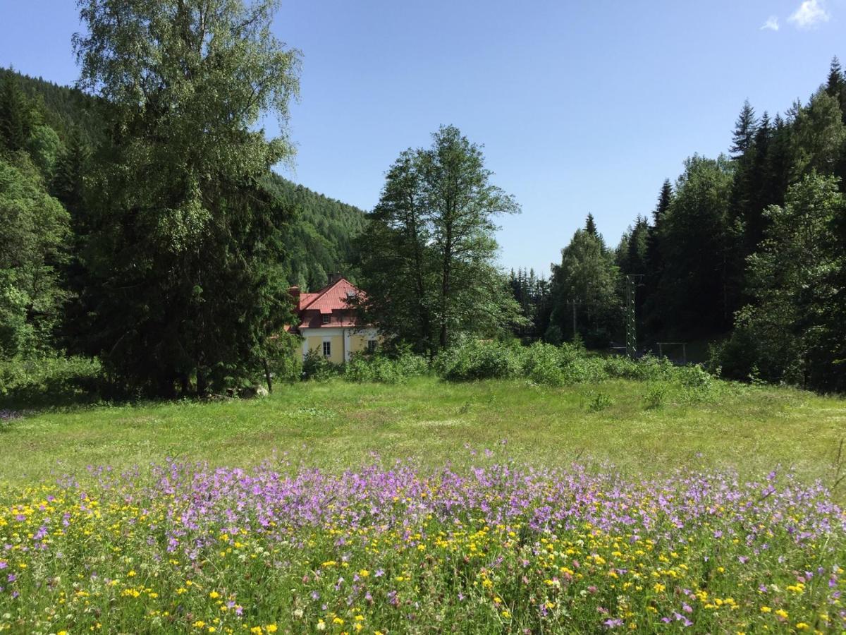 Horska Chata Pod Lanovkou Jáchymov Exteriör bild